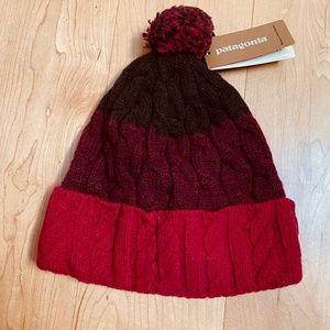 NWT Patagonia Beanie